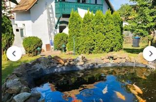 Einfamilienhaus kaufen in 04769 Mügeln, Mügeln - Zweifamilienhaus bzw Einfamilienhaus mit Einliegerwohnung (220qm)