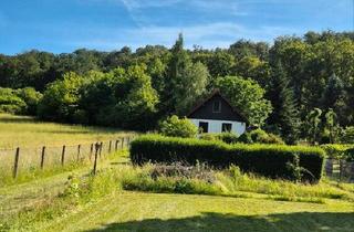 Haus kaufen in 99706 Sondershausen, Sondershausen - Ruhe & Natur pur: Großes Gartengrundstück 2.000 m² mit Massivhaus