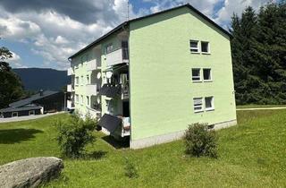 Wohnung kaufen in 94151 Mauth, 3 - 4-Zimmer-ETW in Finsterau