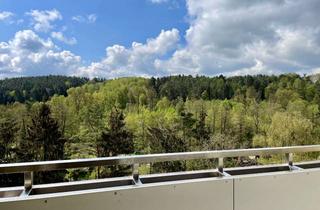 Wohnung mieten in Donndorfer Straße 99, 95447 Meyernberg, 3,5-Zimmer-Wohnung mit Balkon in Bayreuth
