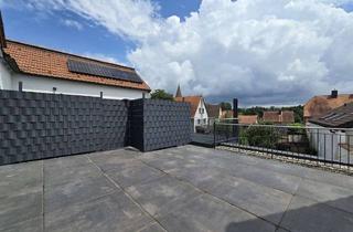 Wohnung mieten in 63843 Niedernberg, Modern sanierte 2-Zi.-DG Wohnung mit großzügiger Dachterrasse in Main nähe