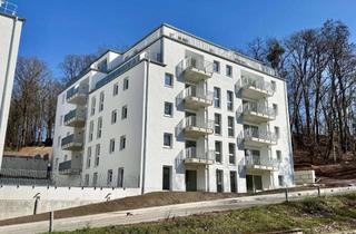 Wohnung mieten in 67663 Innenstadt, KL-Betzenberg - Neubau/Erstbezug: Attraktive, großzügige 2-4-Zimmerwohnungen in bester Lage