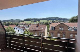 Wohnung mieten in Ludwigstraße 70, 69483 Wald-Michelbach, Frisch renovierte 4-Zimmer-Wohnung mit Balkon und herrlichem Ausblick in Wald-Michelbach