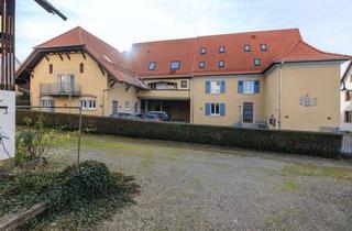 Wohnung mieten in Im Ellengurt 3- Whg 2, 79424 Auggen, Maisonette mit 3 Schlafzimmern und Dachstudio in Auggen