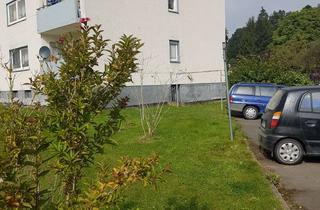 Wohnung mieten in Am Schwimmbad, 35282 Rauschenberg, 208.01 3 ZKB Wohnung Am Schwimmbad 1 in Rauschenberg (Hessen)