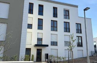 Penthouse mieten in 54439 Saarburg, Exklusive Penthousewohnung zum Erstbezug in Saarburg