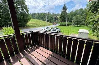Wohnung mieten in Schneeberger Straße 58, 08340 Schwarzenberg, Große 2-Raum-Wohnung mit Einbauküche und Balkon in Schwarzenberg
