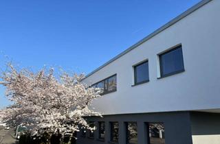 Wohnung mieten in Friedhofsweg 13, 50259 Pulheim, 3-Zimmer Terrassenwohnung als Haus in Haus Konzept in Pulheim Brauweiler