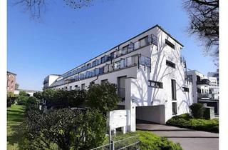 Wohnung mieten in 50226 Frechen, Uninahe, möblierte, moderne 1-Zimmer Wohnung mit Balkon und Einbauküche in Frechen