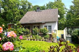 Einfamilienhaus kaufen in 04779 Wermsdorf, Ihr neues Familienglück: Gepflegtes Einfamilienhaus mit privater Sauna und Traumgarten