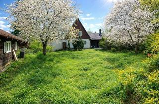Haus kaufen in Tal, 81825 Berg am Laim, Großzügiges Grundstück mit Altbestand und idyllischem Garten in grüner Lage von München