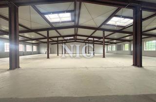 Gewerbeimmobilie mieten in 13509 Reinickendorf, Gewerbefläche mit Tageslicht | teilbar ab 300 m² | ohne Aufzug | Nähe A 111