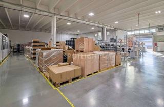 Büro zu mieten in 85748 Garching, Halle für Lager, Logistik, Produktion in Garching-Hochbrück (+ Büro opt.)
