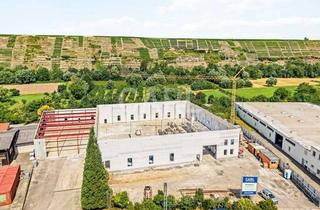 Büro zu mieten in 74348 Lauffen, Moderner Neubau – Flexible Produktions-, Lager- und Büroflächen im Gewerbegebiet „Im Brühl“