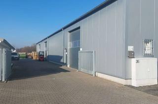 Büro zu mieten in 63579 Freigericht, Lagerhalle 545 qm / 3 Sektionaltore /Büro/ Gewerbepark Birkenhain