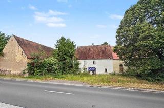 Grundstück zu kaufen in 04889 Schildau, Großzügiges Grundstück mit zwei Bestandsgebäuden in Belgern-Schildau
