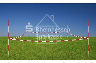 Grundstück zu kaufen in 67551 Pfeddersheim, Grundstück in zentraler Lage von Worms-Pfeddersheim!
