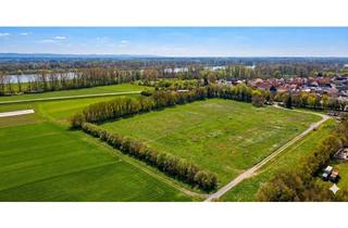 Grundstück zu kaufen in Natostraße 22, 67580 Hamm, 450 m² Baugrundstück im Allmendgarten – ruhig wohnen, bestens angebunden