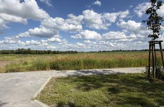 Grundstück zu kaufen in Ringstraße, 16356 Werneuchen, Baugrundstück am Feldrand in Krummensee (Werneuchen)- provisionsfrei und ohne Bauträgerbindung