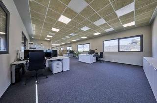 Gewerbeimmobilie kaufen in 35321 Laubach, ohne Käuferprovision cooler Büroneubau 2026 vom Feinsten, 2300 m2 Grund