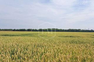 Immobilie kaufen in 50354 Hürth, Ackerlandparzelle in Hürth