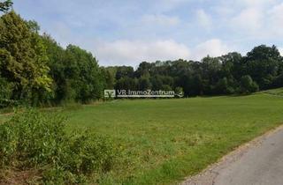 Immobilie kaufen in 86916 Kaufering, Landwirtschaftliche Fläche - Wiese