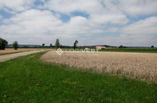 Gewerbeimmobilie kaufen in 04509 Krostitz, Großzügige Bauflächen für Lager- und Produktionsneubau nahe Leipzig