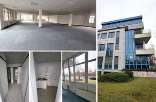 Gewerbeimmobilie mieten in 04509 Wiedemar, Große und helle Büro-/Schulungsfläche im EG im Gewerbegebiet Wiedemar, SP mögl.