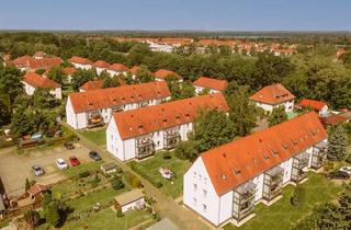 Wohnung mieten in Robert-Koch-Straße 6b, 04552 Borna, Modernisierte Wohnung in der Robert-Koch-Straße 6B – Erstbezug nach umfassender Sanierung