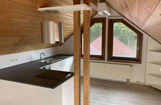 Wohnung mieten in Gemmingerstraße 27, 75031 Eppingen, Stilvolle 1-Zimmer-Wohnung in Eppingen-Richen