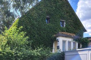 Wohnung mieten in Tiergarten Strasse, 54550 Daun, schöne Wohnung in einem besonderen Haus