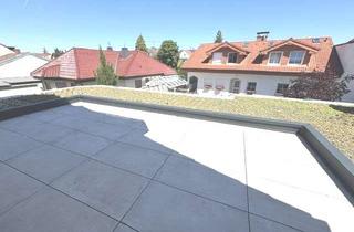 Wohnung mieten in 64546 Mörfelden-Walldorf, Attraktive Terrassenwohnung mit neuem Luxus-Bad