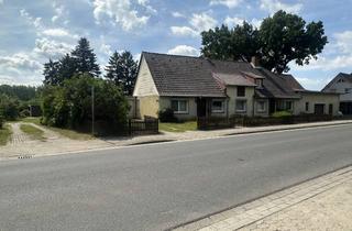 Doppelhaushälfte kaufen in Wendenerstraße 15, 38527 Meine, Alte Schönheit sucht neue Liebe I Doppelhaushälfte mit 2 Wohneinheiten und interessantem Grundstück