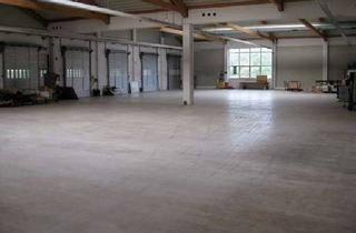 Büro zu mieten in 96271 Grub, Lager-/ Logistik-Halle ca. 2.000 m², Büro und Freifläche ** ab sofort
