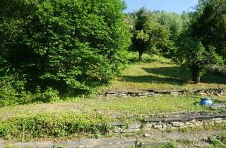 Immobilie kaufen in 72160 Horb, Großzügiges Baugrundstück in zentraler Lage von Horb am Neckar - Attraktive Investitionsmöglichkeit!