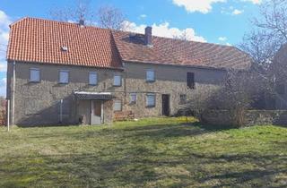 Bauernhaus kaufen in 01558 Großenhain, Großenhain - Bauernhof in Großenhain zum Verkauf