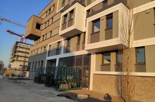 Wohnung mieten in Alte Ziegelei 19, 67346 Speyer, „Wohnen am Fluss“ – Exklusive 2-Zimmerwohnung direkt am Rhein