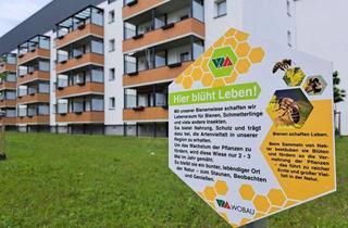 Sozialwohnungen mieten in Bundschuhstr. 49, 39116 Sudenburg, WBS - 3-Raum im Stadtteil Sudenburg - für kreative Mieter