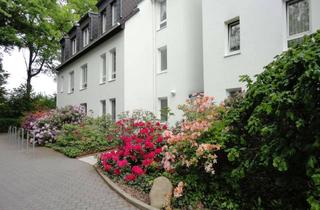 Wohnung mieten in Crimmitschauer Straße 131 b, 08058 Weißenborn, 4-Zimmer-Maisonette-Wohnung mit Süd-/Westdachterrasse in Weißenborn