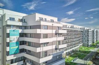 Wohnung mieten in Friedenauer Höhe, 12159 Friedenau, Smyles Living – Studio mit 2 Balkonen und Blick über Friedenau im Erstbezug