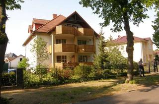 Wohnung mieten in Küchenmeisterallee 76, 15711 Königs Wusterhausen, Helle, geräumige zwei Zimmer Wohnung in Dahme-Spreewald (Kreis), Königs Wusterhausen
