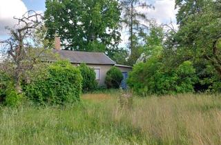 Grundstück zu kaufen in Gluckstraße 12, 16515 Oranienburg, Grundstück in Oranienburg Süd direkt am Naturschutzgebiet