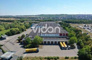 Gewerbeimmobilie mieten in 55268 Nieder-Olm, CROSS DOCK | LOGISTIK | 30.000 M² | 128 TORE