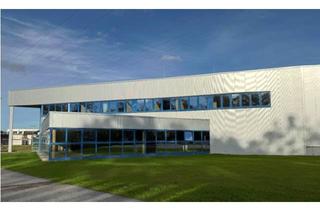Büro zu mieten in 76709 Kronau, Vielfältig nutzbare Hallen - und Bürofläche Nähe zur Auffahrt A5 Kronau zu vermieten!