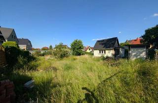 Grundstück zu kaufen in 08058 Weißenborn, Grüne Auszeit gesucht? Freizeitgrundstück mit kleinem Bungalow in Weißenborn