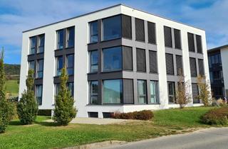 Büro zu mieten in Kappishäuser Straße 74, 72581 Dettingen, Moderne Büroräume mit Lagerfläche in Dettingen/Erms