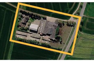 Gewerbeimmobilie kaufen in Zum Suthfeld 999, 37115 Duderstadt, Großzügige Gewerbefläche mit potentiellem Bürogebäude auf 1ha