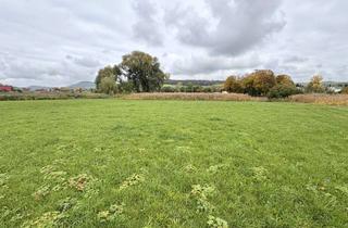 Gewerbeimmobilie kaufen in 73441 Bopfingen, Landwirtschaftliche Fläche – Ackerland & Grünland