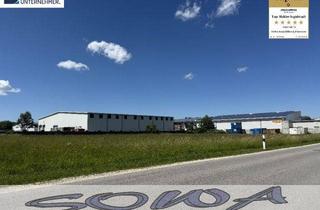Geschäftslokal mieten in 86633 Neuburg, Lagerhalle | Lagerflächen zu vermieten - Neuburg beim Südpark - B16 Anbindung - Ein Objekt von Ihrem Immobilienpartner SOWA Immobilien und Finanzen