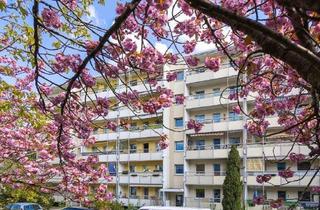 Wohnung mieten in Limbacher Weg 20, 01169 Gorbitz-Süd, Sanierte 3 Raumwohnung mit Balkon!
